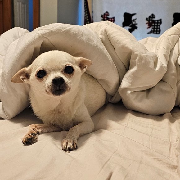 Meet your Posher, Pamela 🩷🥞 - Picture 13 of 13